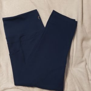 ZYIA Navy Brilliant Capri Leggings